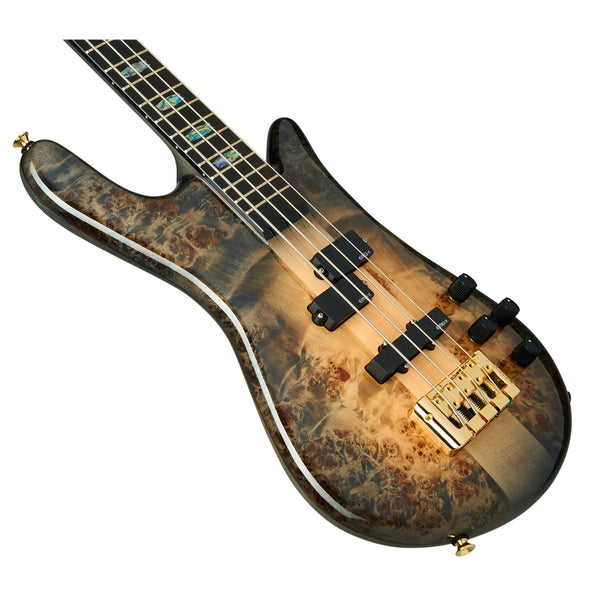 Euro 4 CST - Nat Black Burst Gloss