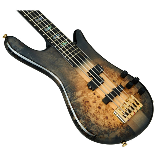 Euro 5 CST - Nat Black Burst Gloss