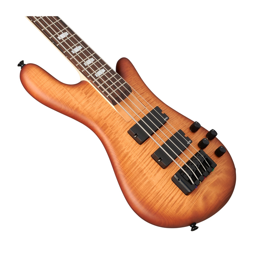 Euro 5 LX Bolt-On - Natural Sunburst